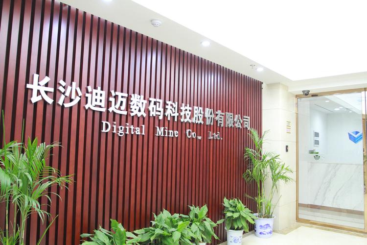 迪迈科技